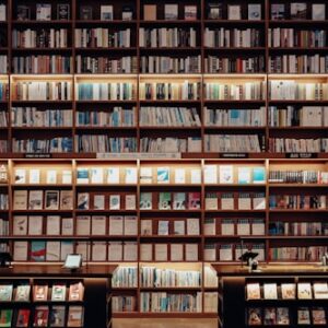 Philosophical Reflections on Literature